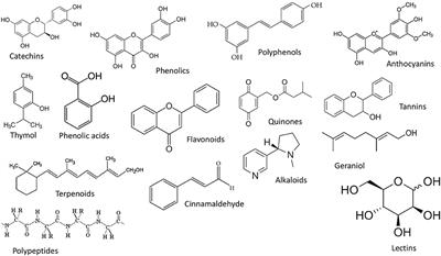 Nanoemulsion-Based Technologies for Delivering Natural Plant-Based Antimicrobials in Foods